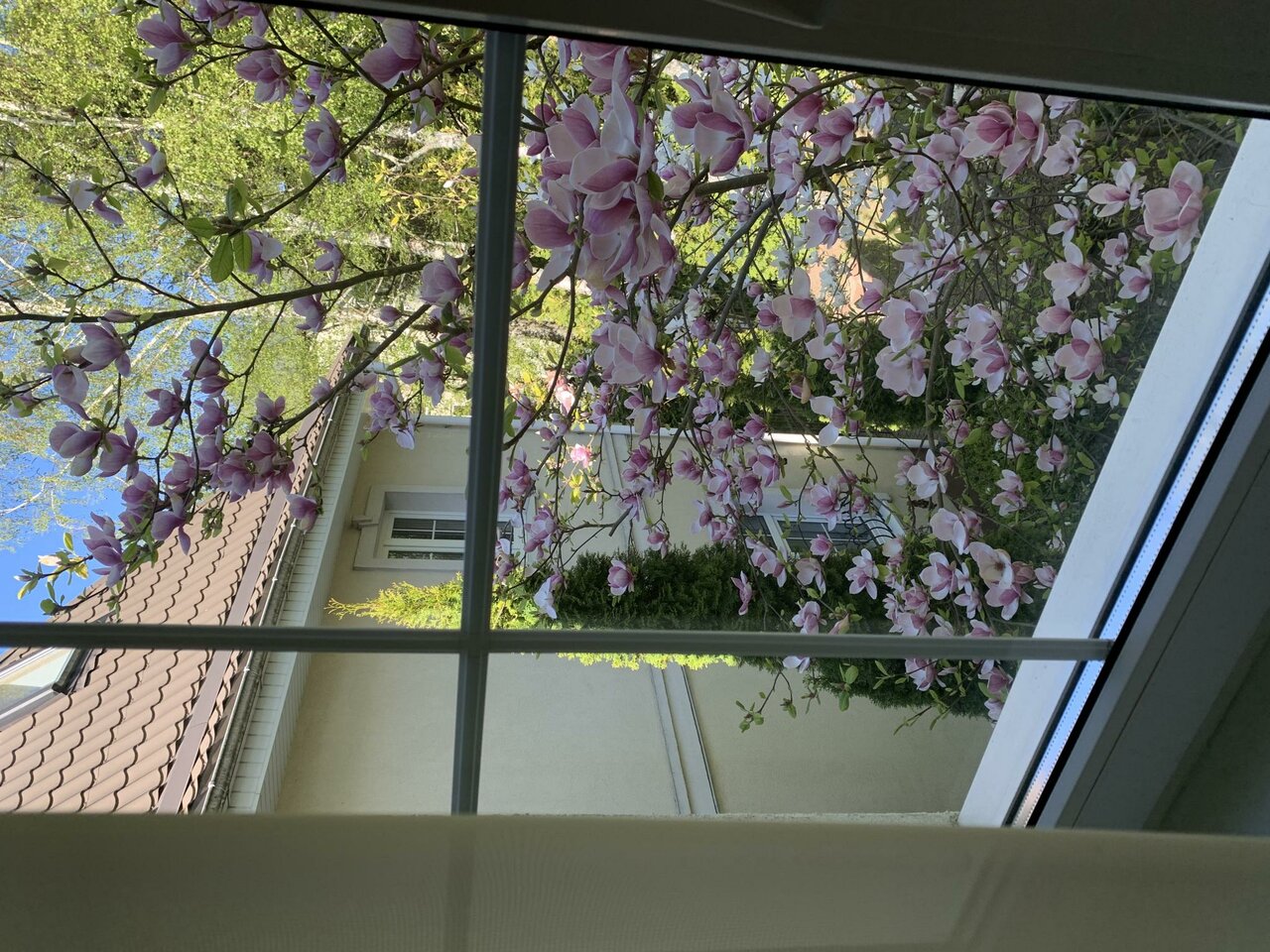 Гостиница Гренч Светлогорск