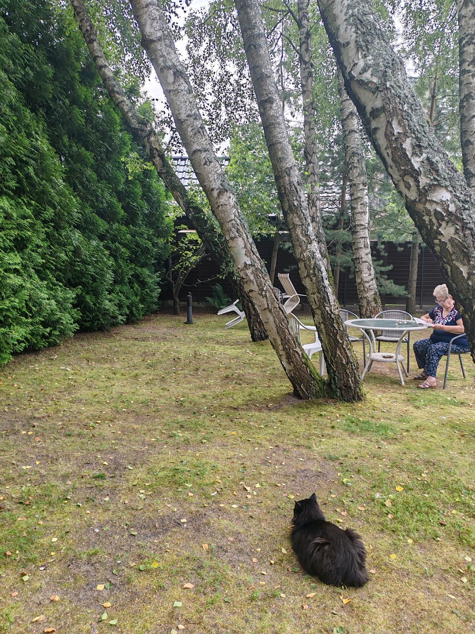 Гостиница Гренч Светлогорск-123