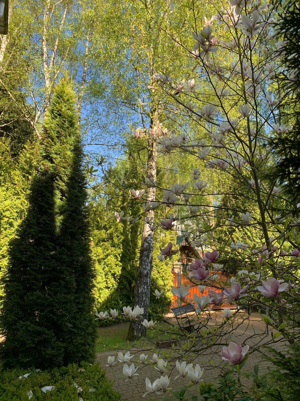 Гостиница Гренч Светлогорск-36