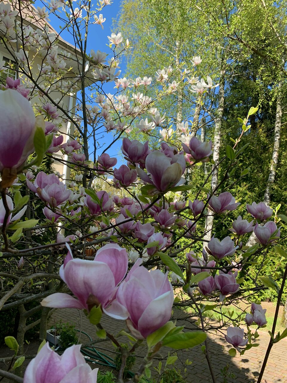 Гостиница Гренч Светлогорск-41