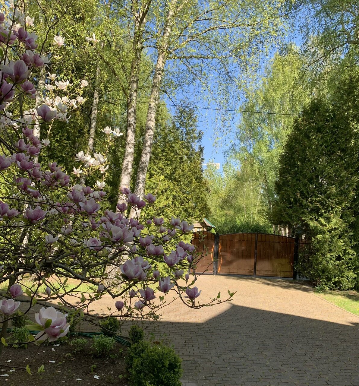 Гостиница Гренч Светлогорск-81