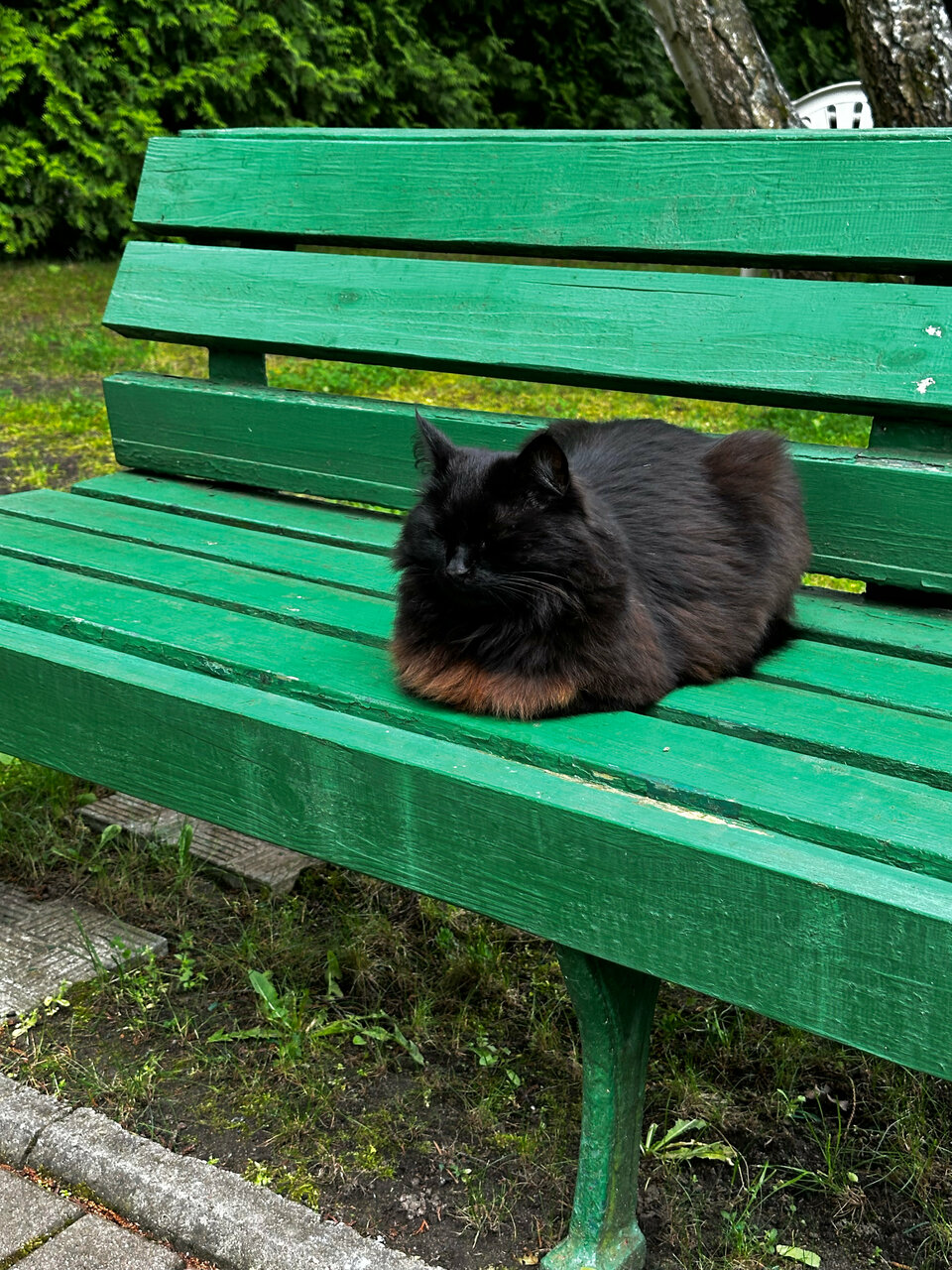 Гостиница Гренч Светлогорск-145