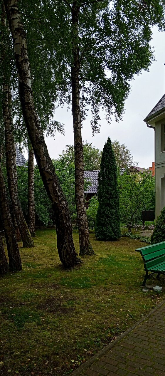 Гостиница Гренч Светлогорск-137