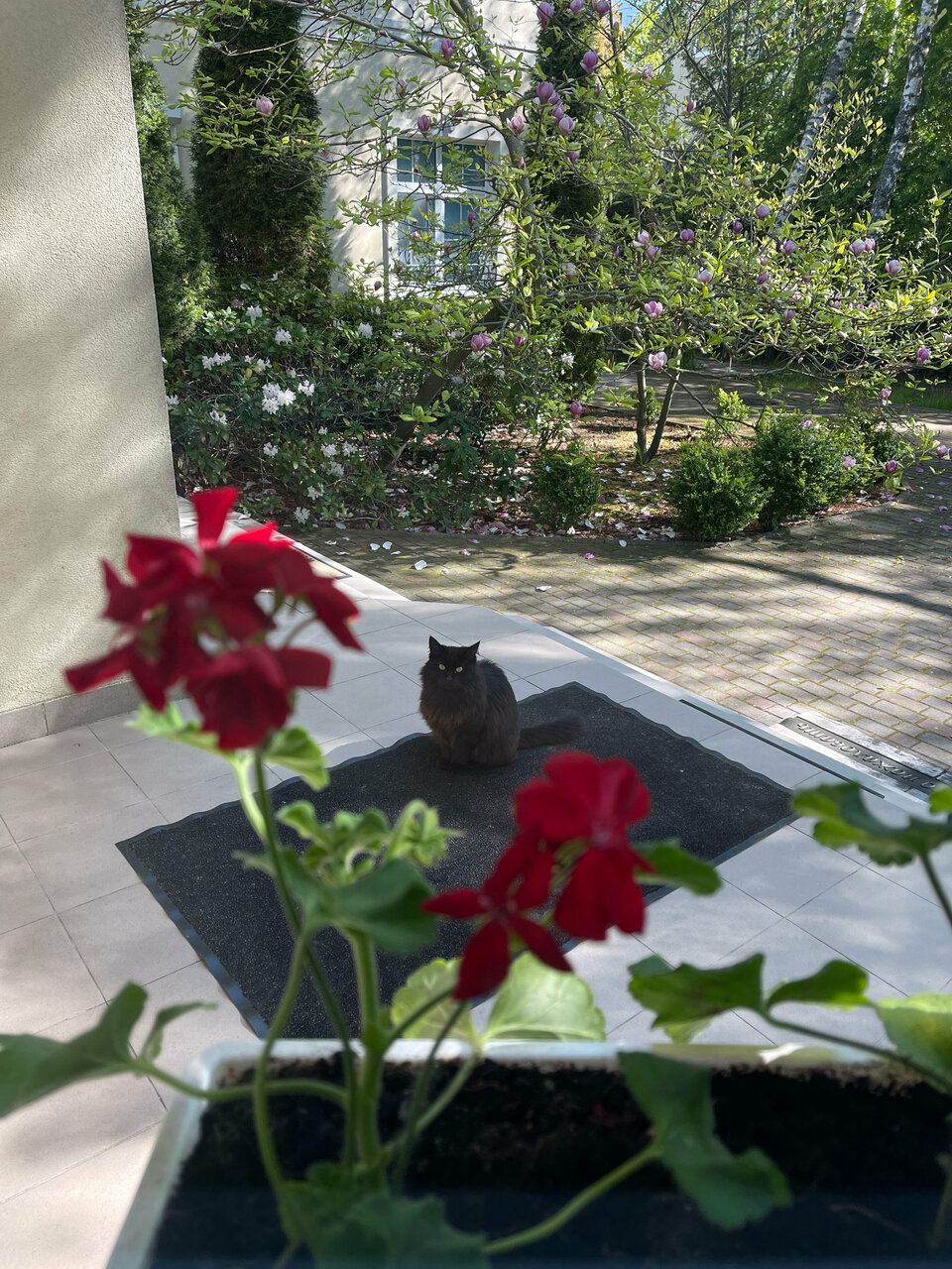 Гостиница Гренч Светлогорск-122