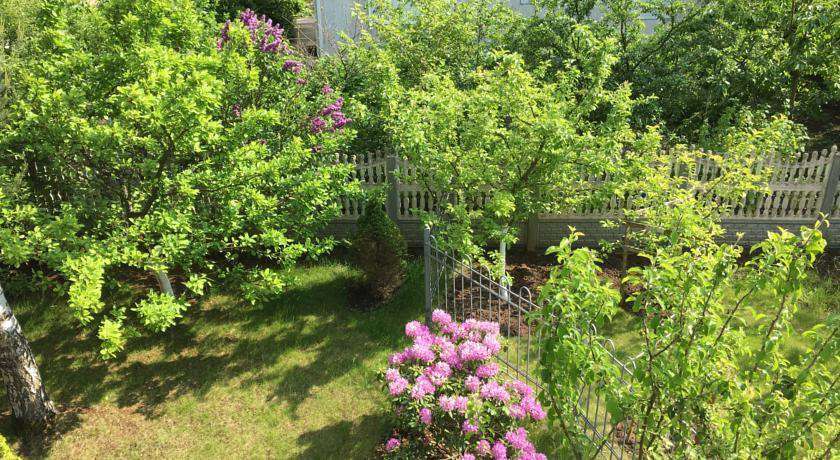 Гостиница Guest House Grench Светлогорск