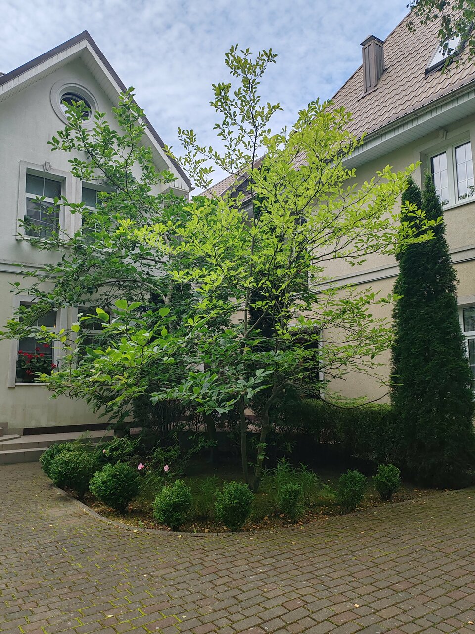 Гостиница Гренч Светлогорск-128