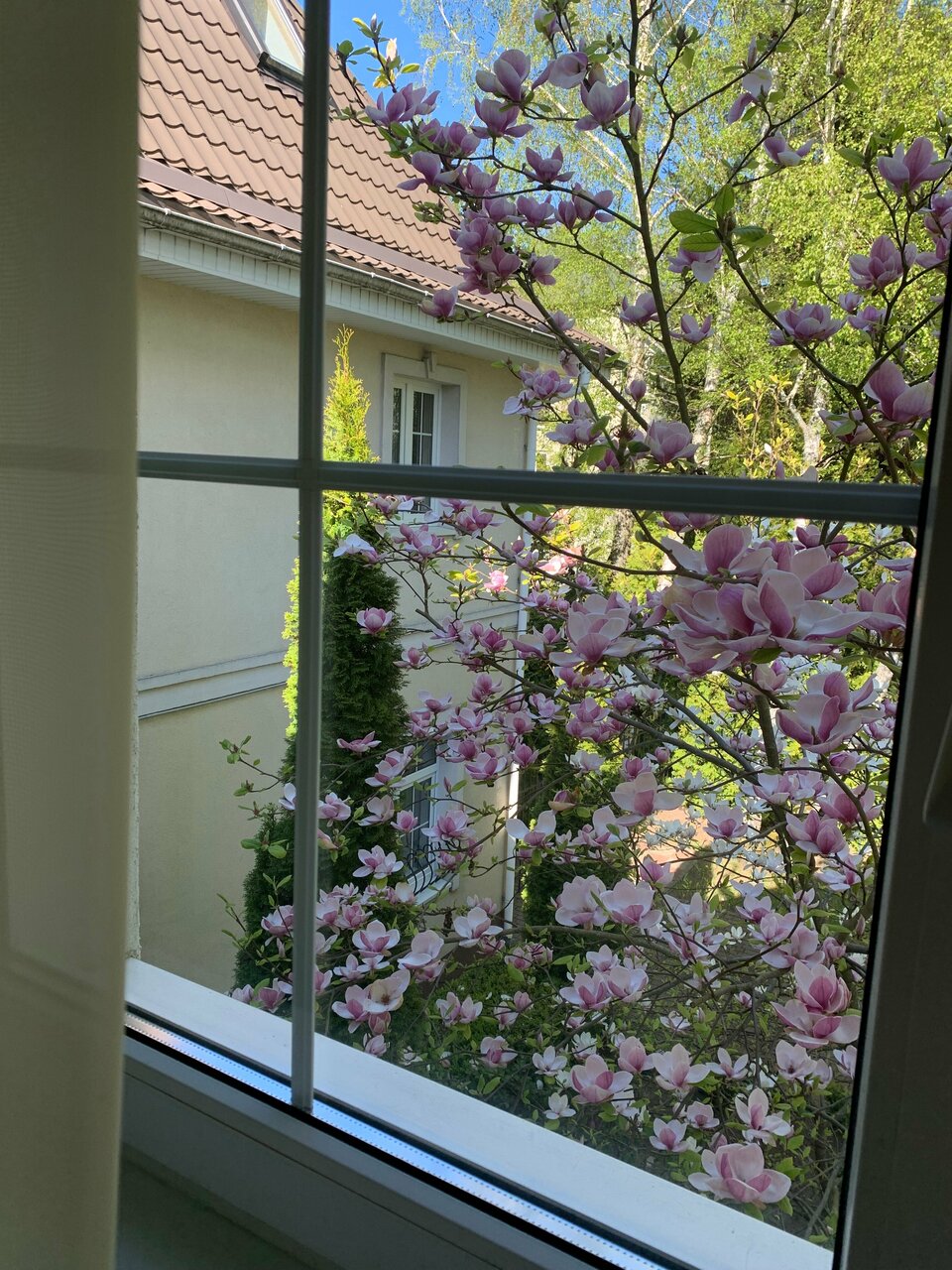 Гостиница Гренч Светлогорск