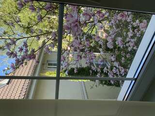 Гостиница Гренч Светлогорск Комната стандарт с 1 двуспальной кроватью-5