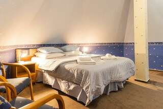 Гостиница Гренч Светлогорск Комната стандарт семейный (мансарда)-4