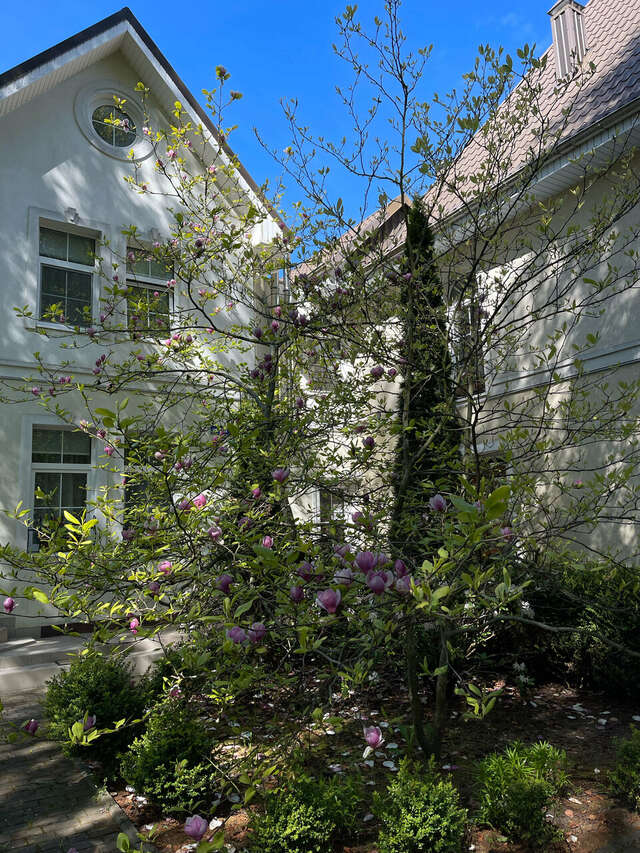 Гостиница Гренч Светлогорск-119