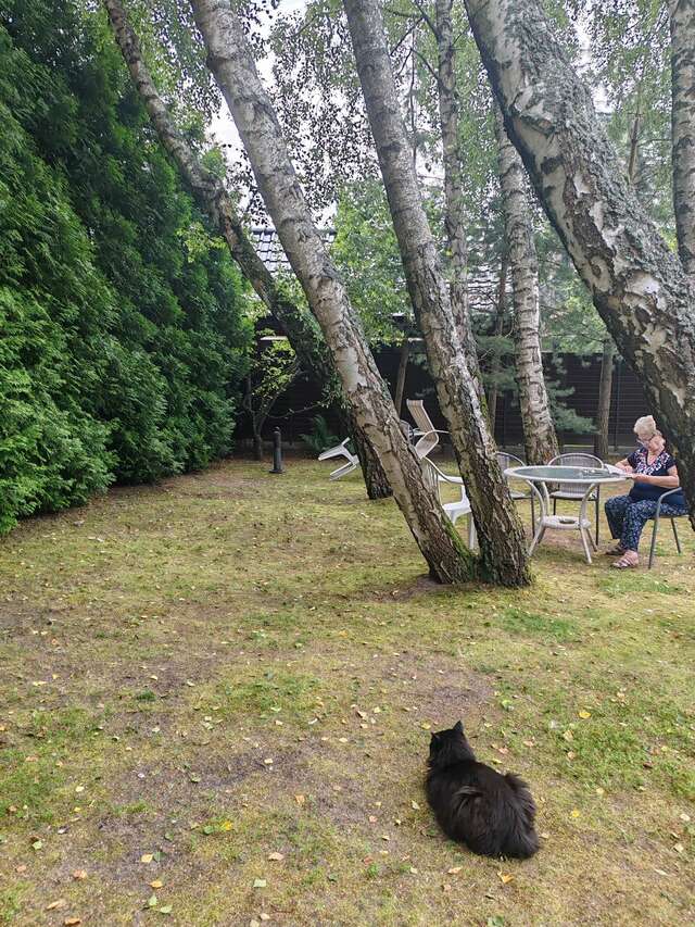 Гостиница Гренч Светлогорск-122