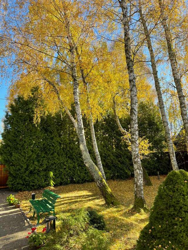 Гостиница Гренч Светлогорск-27