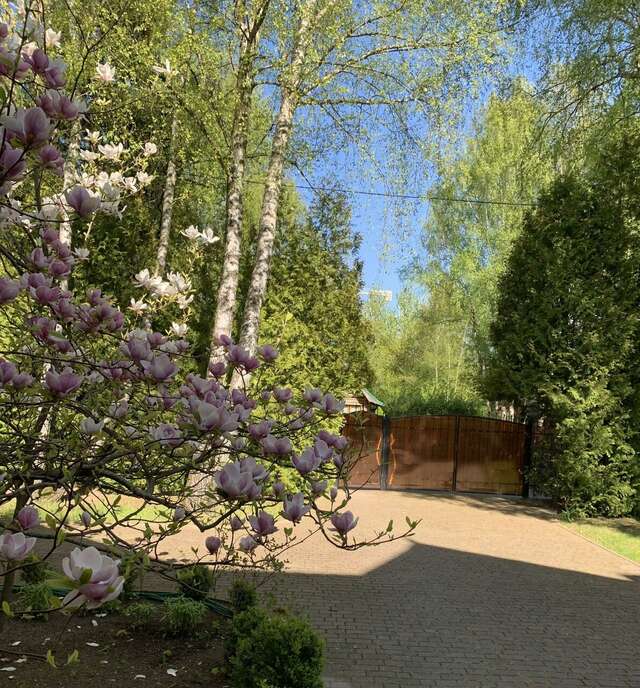 Гостиница Гренч Светлогорск-80