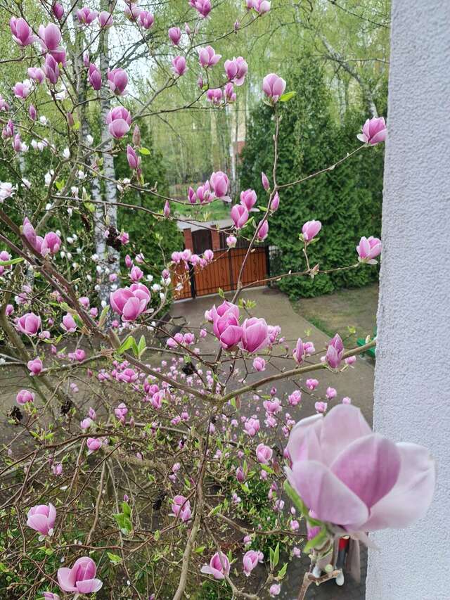 Гостиница Гренч Светлогорск-130