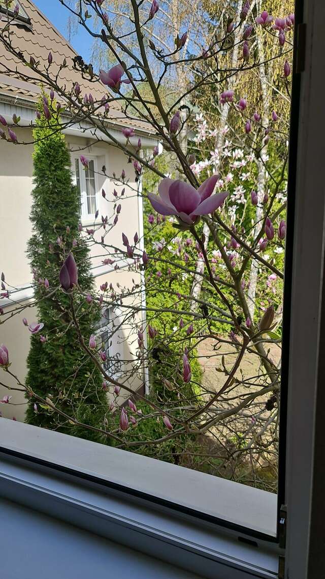 Гостиница Гренч Светлогорск-143