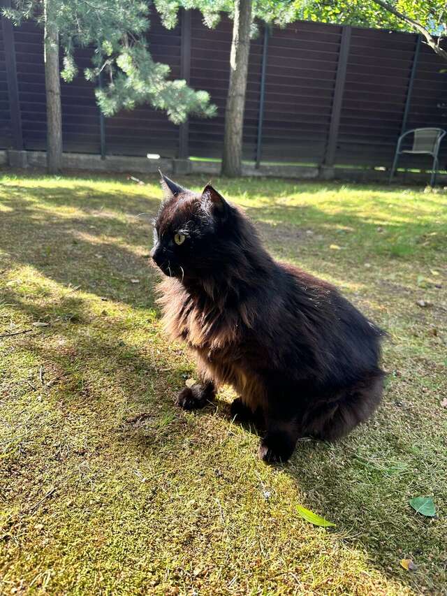 Гостиница Гренч Светлогорск-125