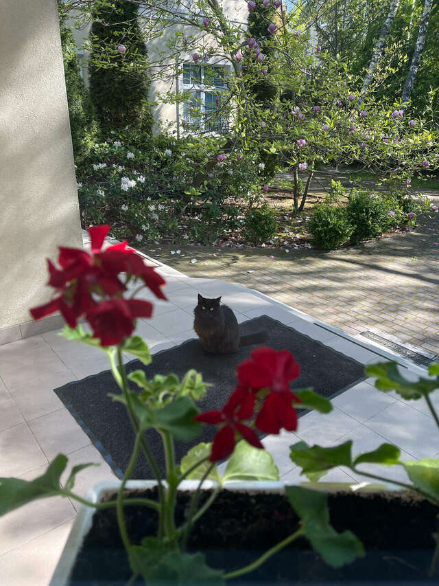 Гостиница Гренч Светлогорск-121